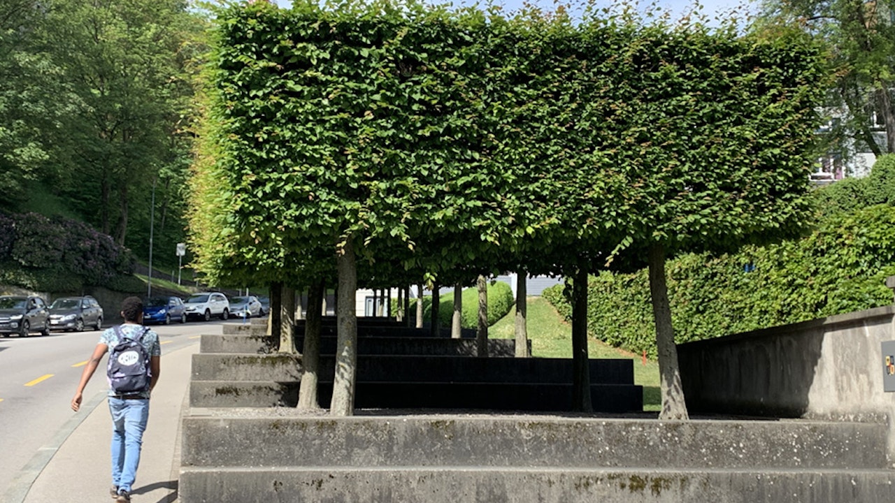 Charmille structurée