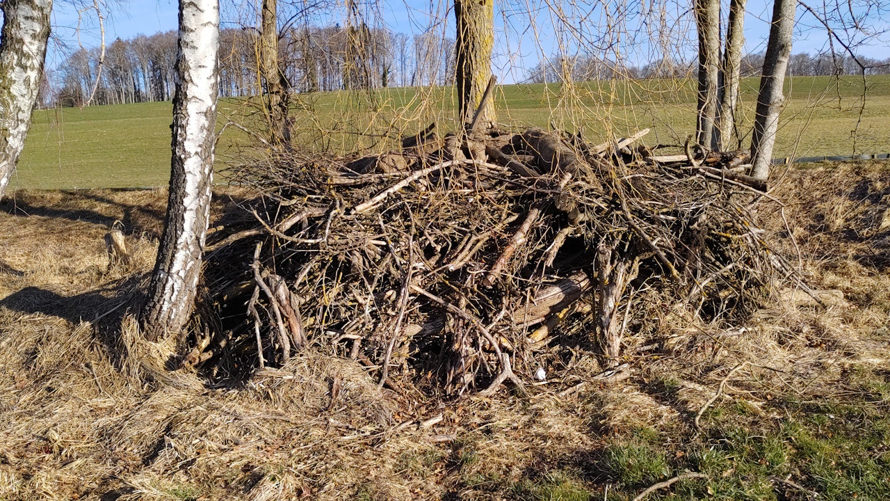 Tas de branches