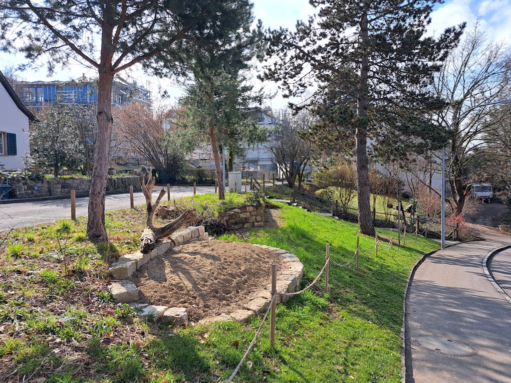 Ökologische Aufwertung Hackberg