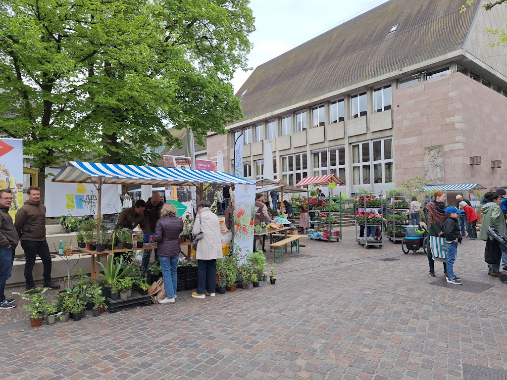 Naturmärt auf dem Dorfplatz