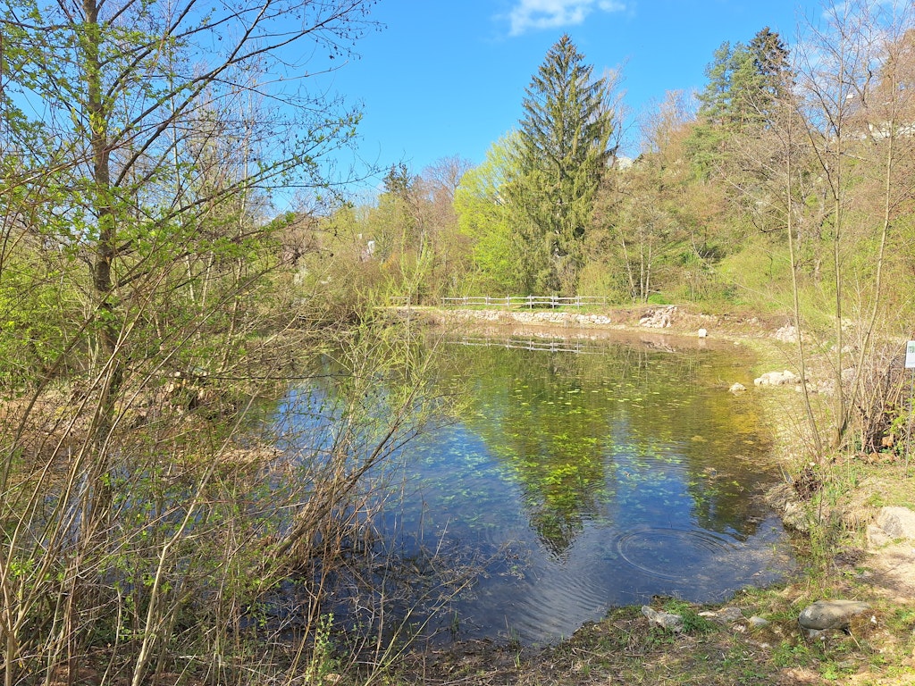 Amphibienlaichgebiet Autal