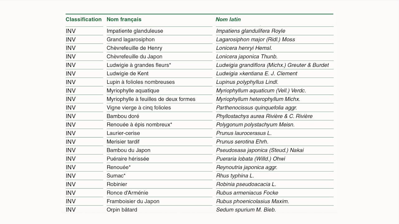 Liste des népophytes emvahisantes (INV) et potentiellement envahissantes (P_INV) de suisse