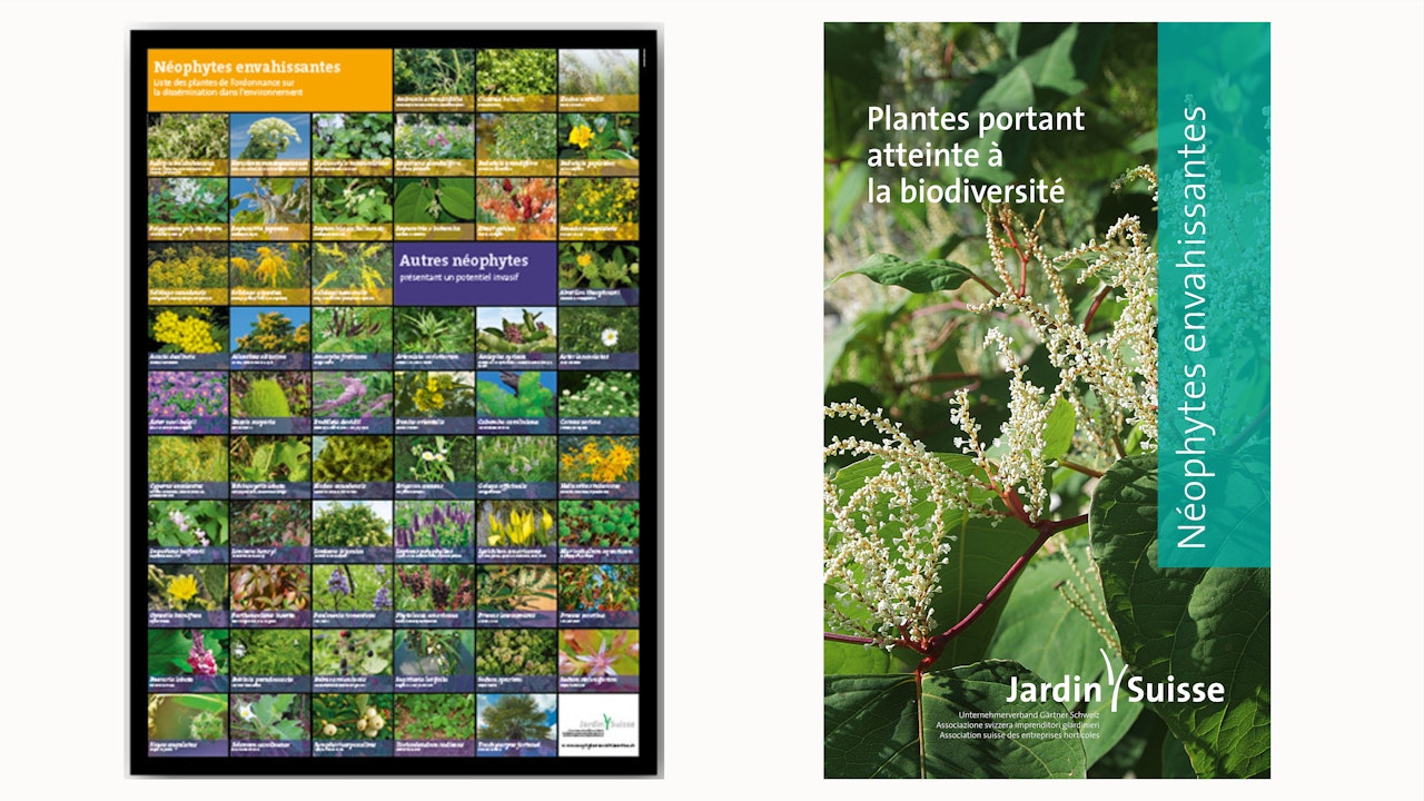 Jardin Suisse: poster et brochure Biodiversité - Néophytes