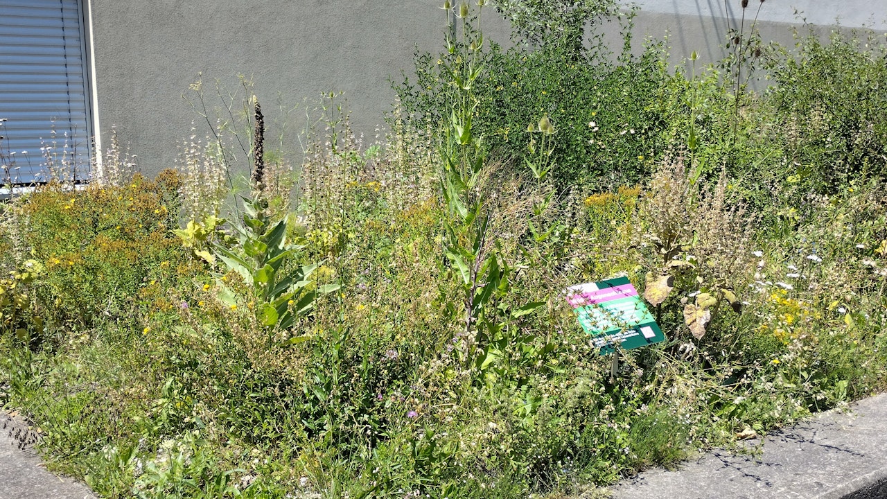 Beschilderungen und Informationen machen den Wert naturnaher Flächen für alle nachvollziehbar.