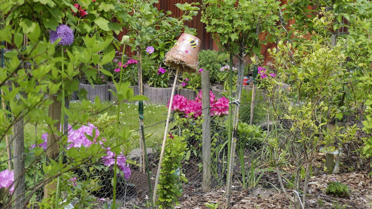 Ce type d’aides à la nidification faites maison permet d’aider les perce-oreilles dans le jardin.