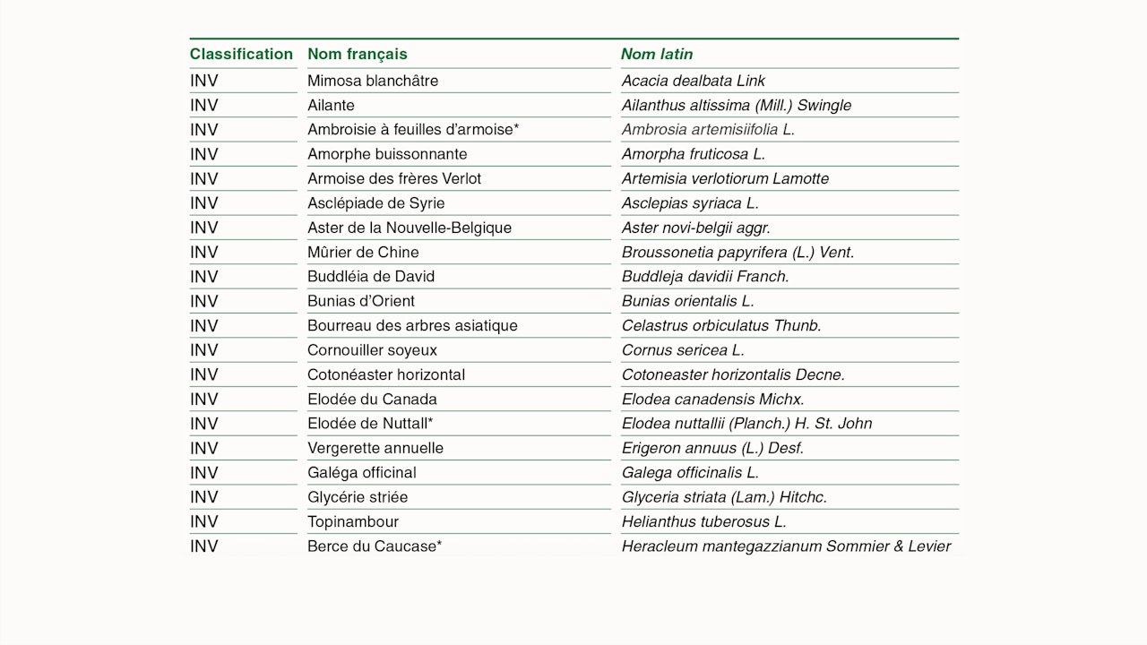 Liste des népophytes emvahisantes (INV) et potentiellement envahissantes (P_INV) de suisse
