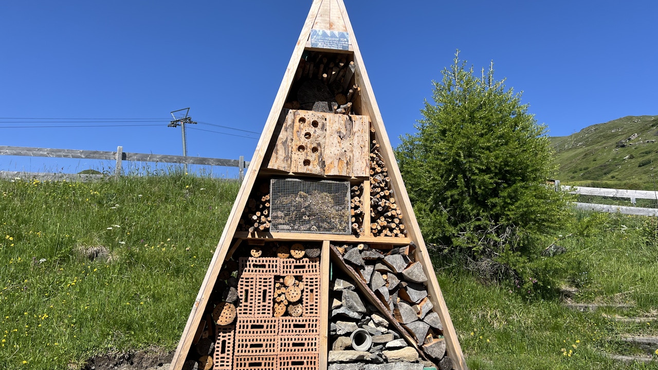Aides à la nidification pour différents insectes et différents matériaux en un seul endroit.