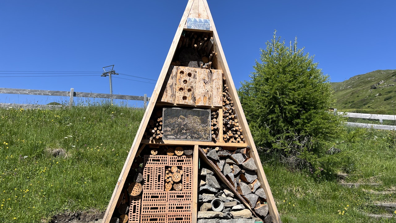 Aides à la nidification pour différents insectes et différents matériaux en un seul endroit.