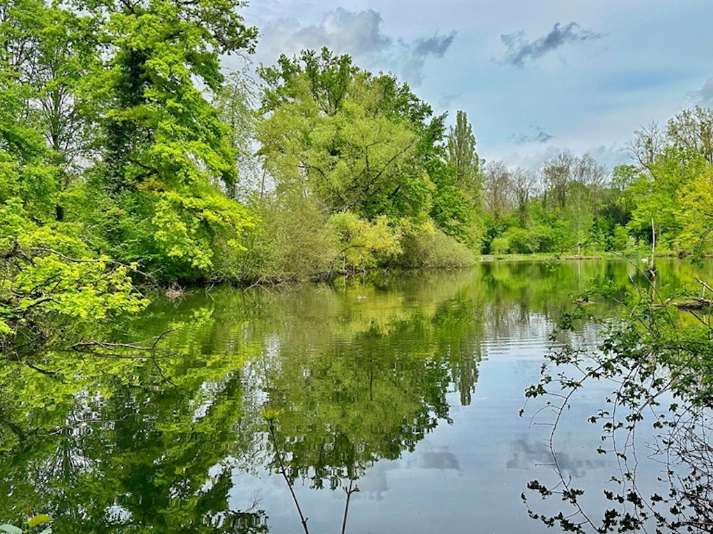 Naturschutzgebiet Entenweiher