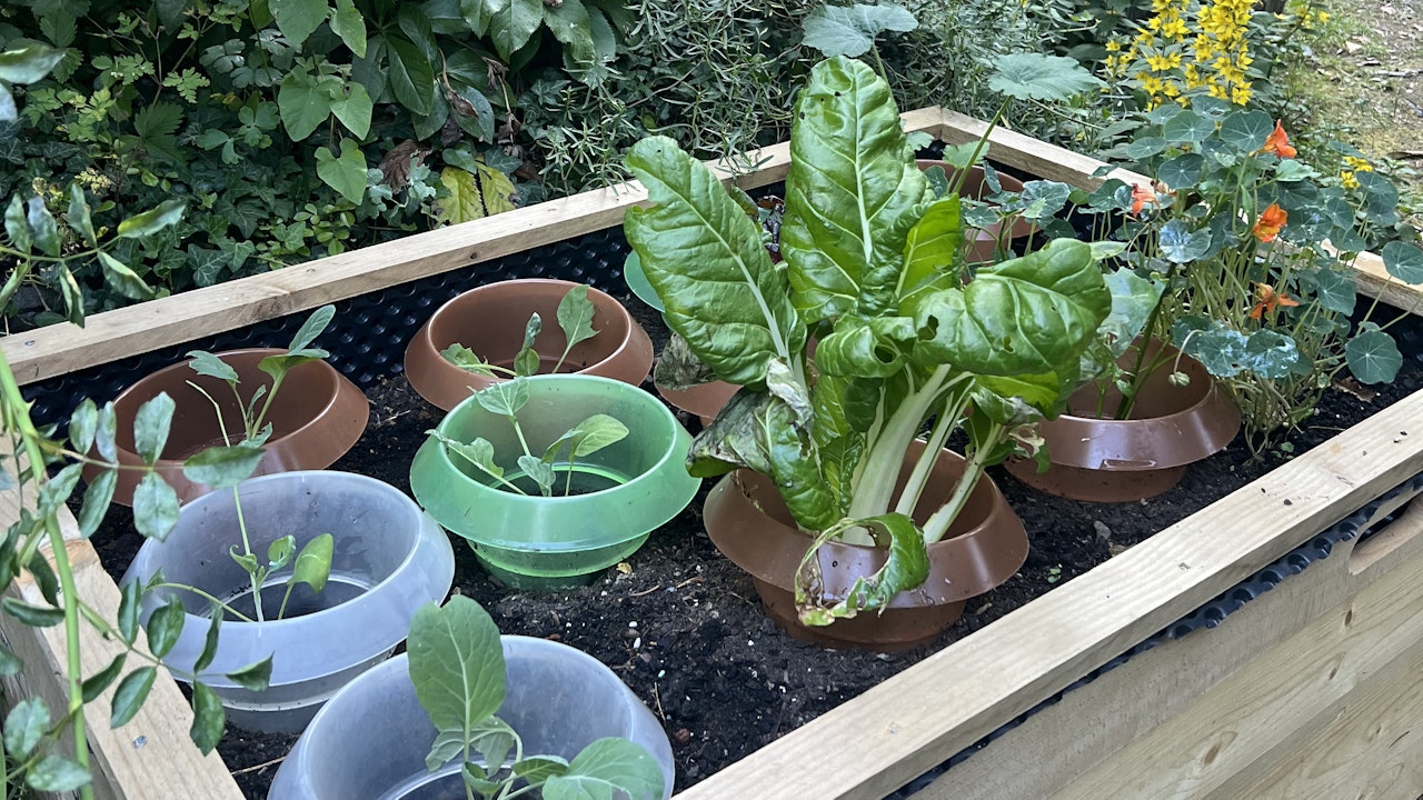 Hochbeete sind ideale Ergänzungsstrukturen für den Garten.