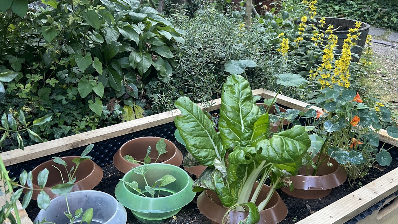 Les parterres surélevés sont des structures complémentaires idéales pour le jardin.
