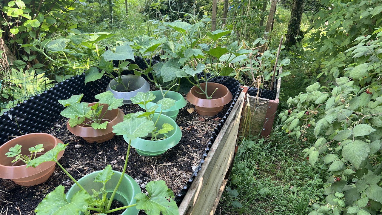 Hochbeete bieten eine Ideale Ergänzung zu Freilandbepflanzung.