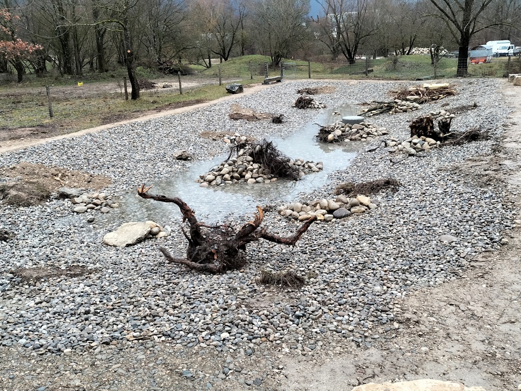 Frisch angelegter Amphibienweiher mit viel Struktur Frisch angelegter Amphibienweiher mit viel Struktur