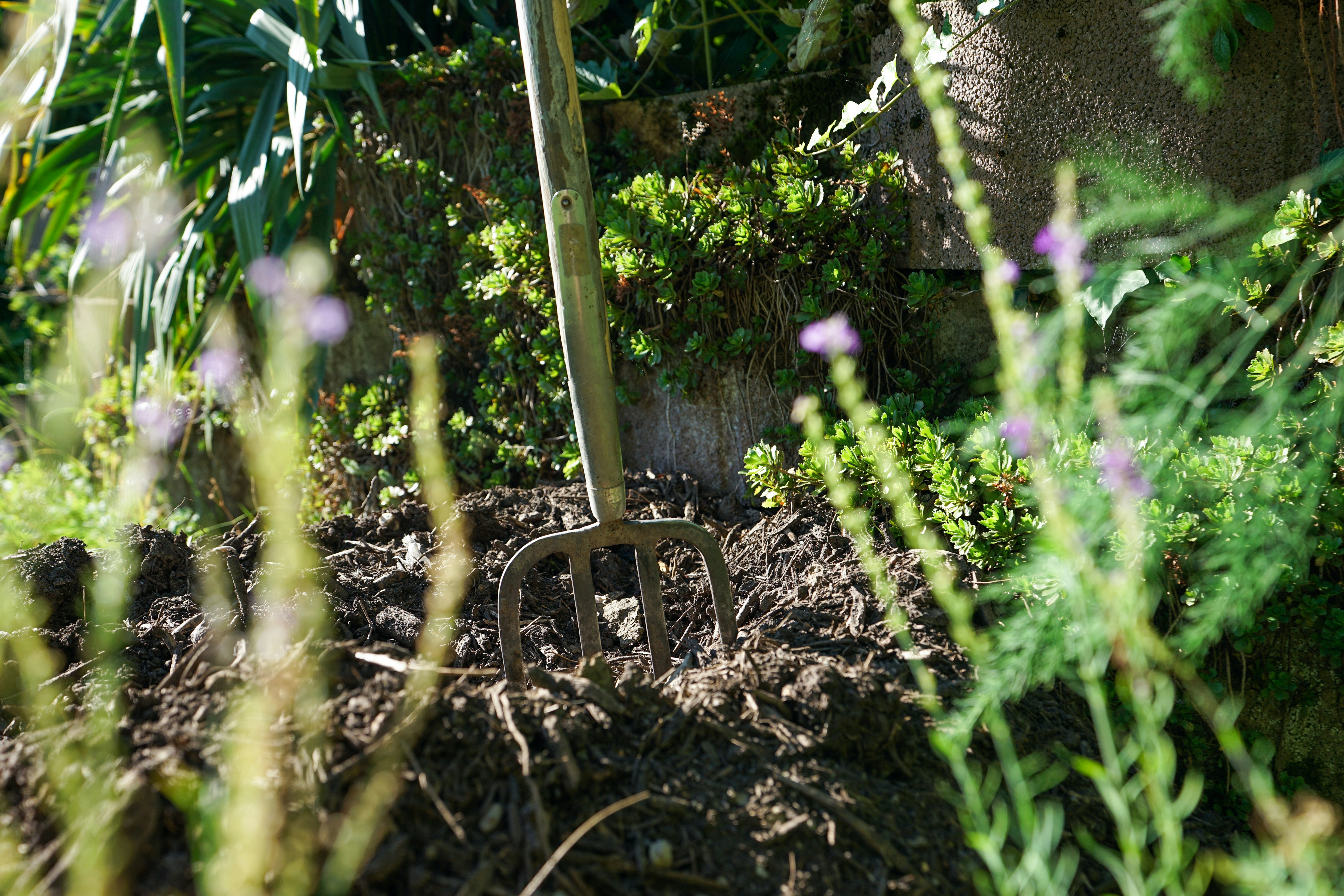 Compost