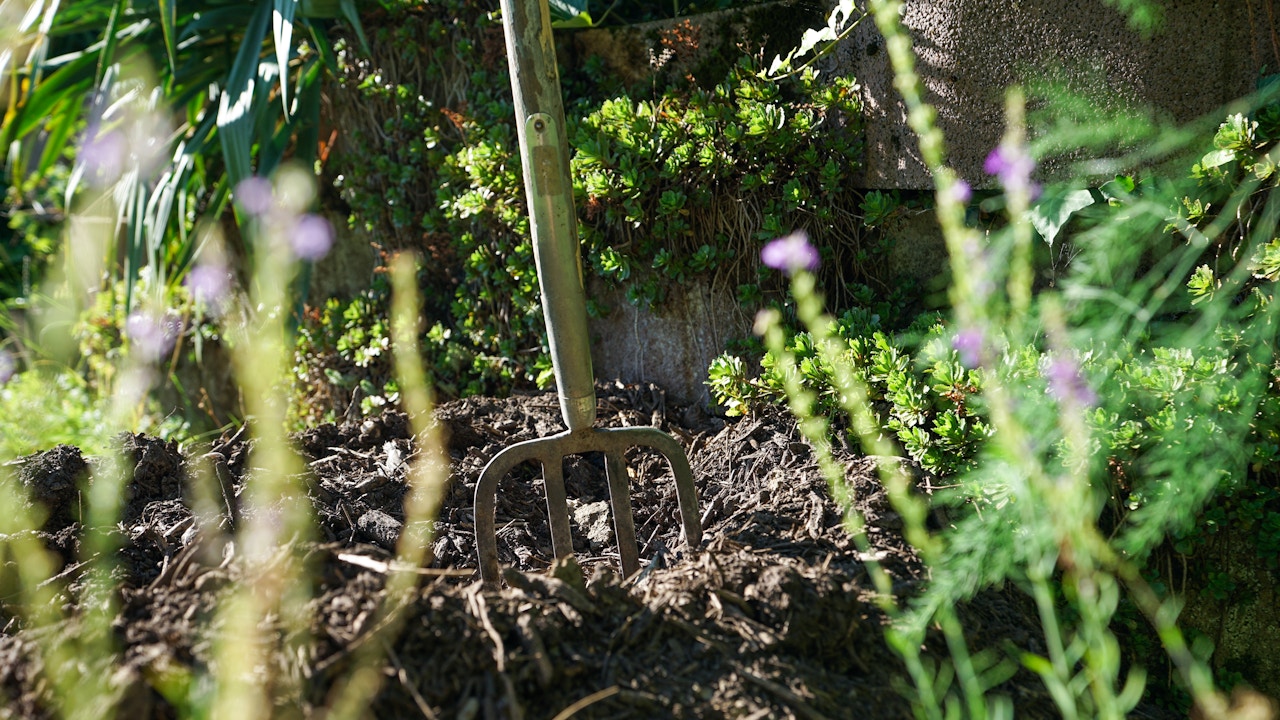 Compost