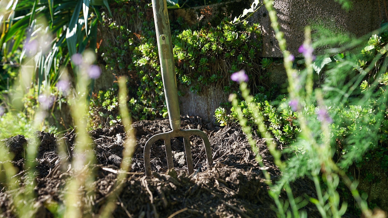 Compost
