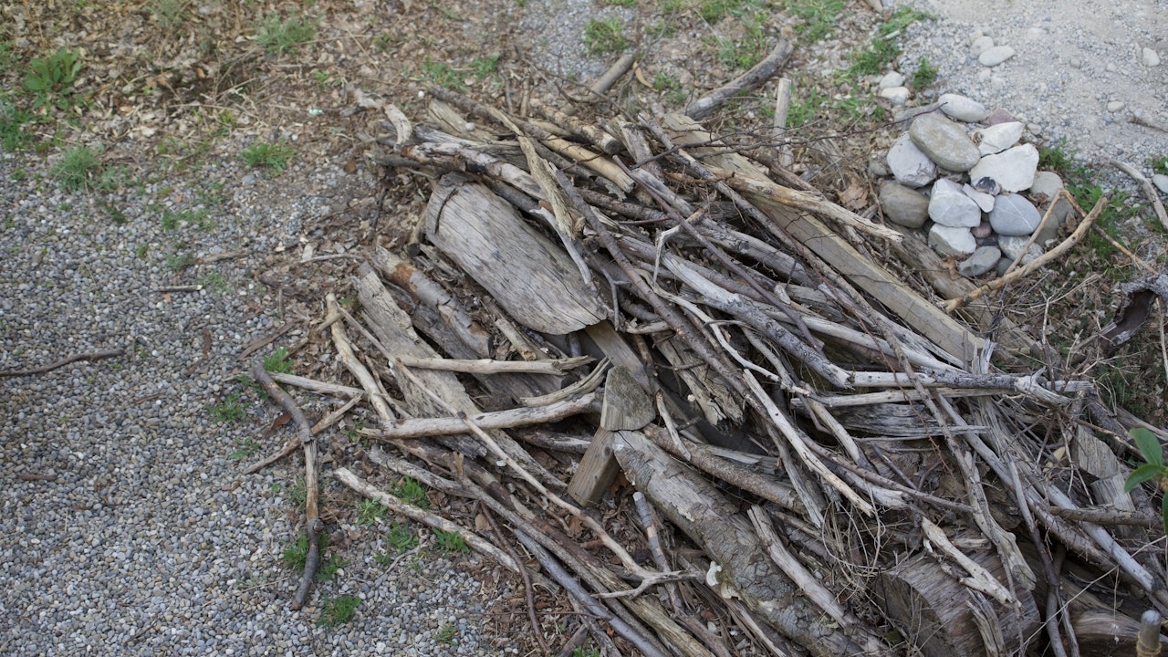 Bois mort et tas de branches