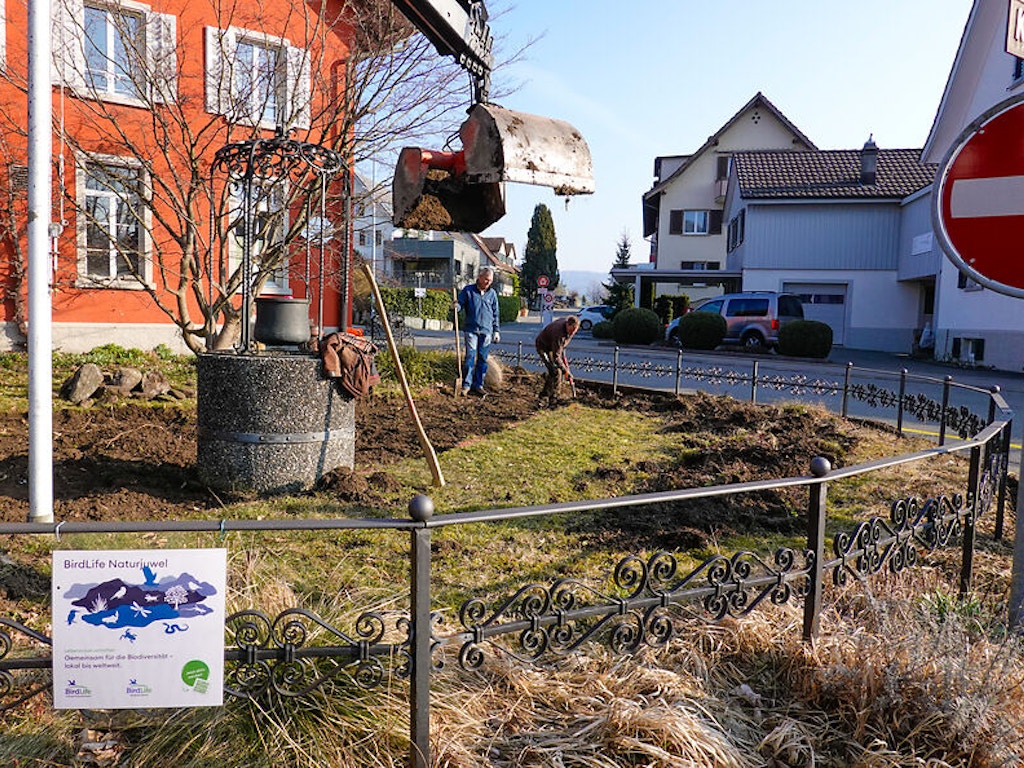 Costruzione di un'area ruderale a Bubikon ZH