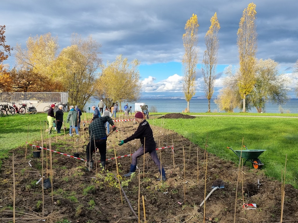 Pflanzaktion in Arbon TG