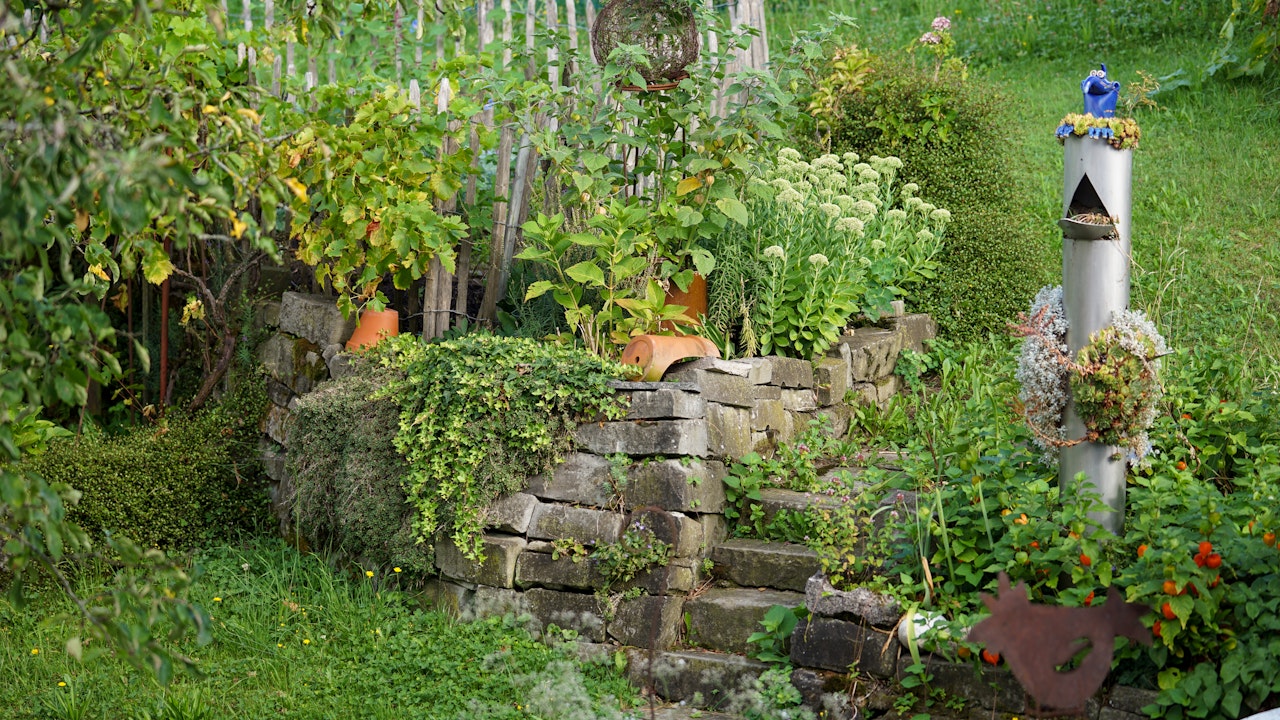 Blühende Vielfalt und Trockensteinmauern schaffen Lebensräume – für Tiere und für uns