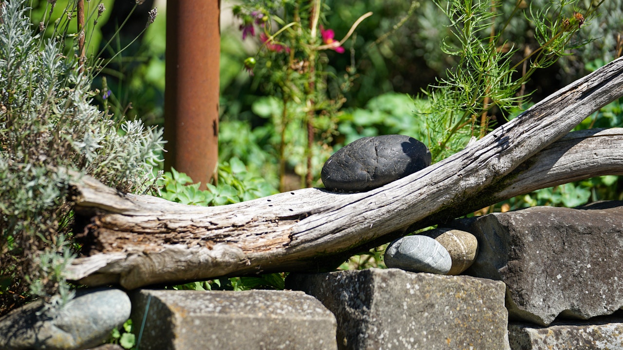 Ein Stück Totholz im Garten ist mehr als Deko – es bietet Wildbienen ein wertvolles Zuhause.