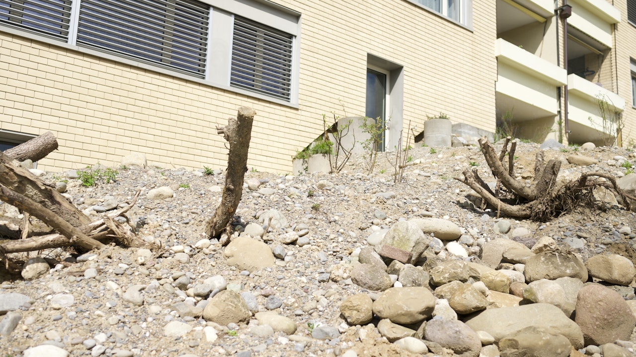 Eine frisch angelegte Ruderalfläche wirkt am Anfang vielleicht unscheinbar – doch mit jedem Jahr wird sie artenreicher, lebendiger und zu einem wertvollen Lebensraum für Wildbienen & Co.