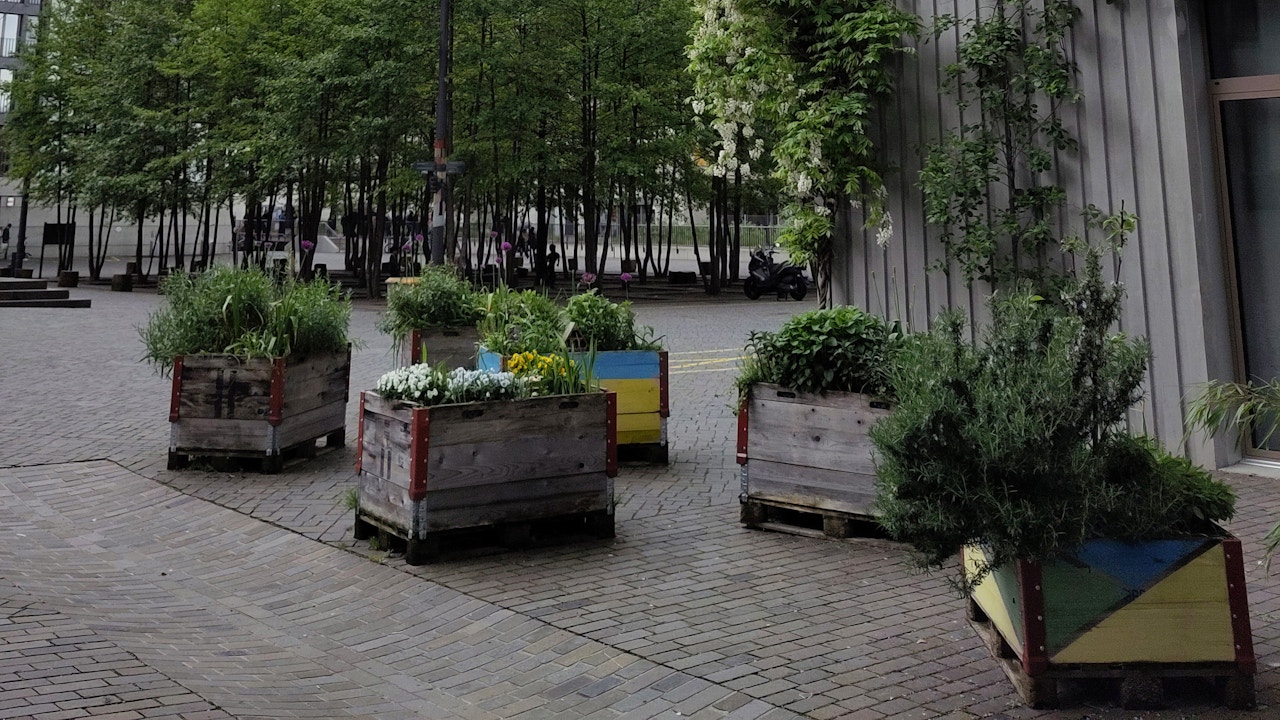 Même sur un sol imperméabilisé, tu peux faire revivre le parvis – des bacs surélevés offrent de la place pour les plantes, les insectes et les échanges.