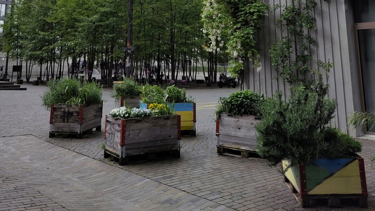 Même sur un sol imperméabilisé, tu peux faire revivre le parvis – des bacs surélevés offrent de la place pour les plantes, les insectes et les échanges.