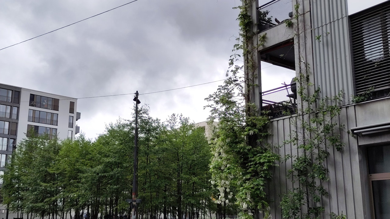 Auch auf versiegeltem Boden kannst du den Vorplatz zum Leben erwecken – mit Hochbeeten entsteht Raum für Pflanzen, Insekten und Begegnungen.