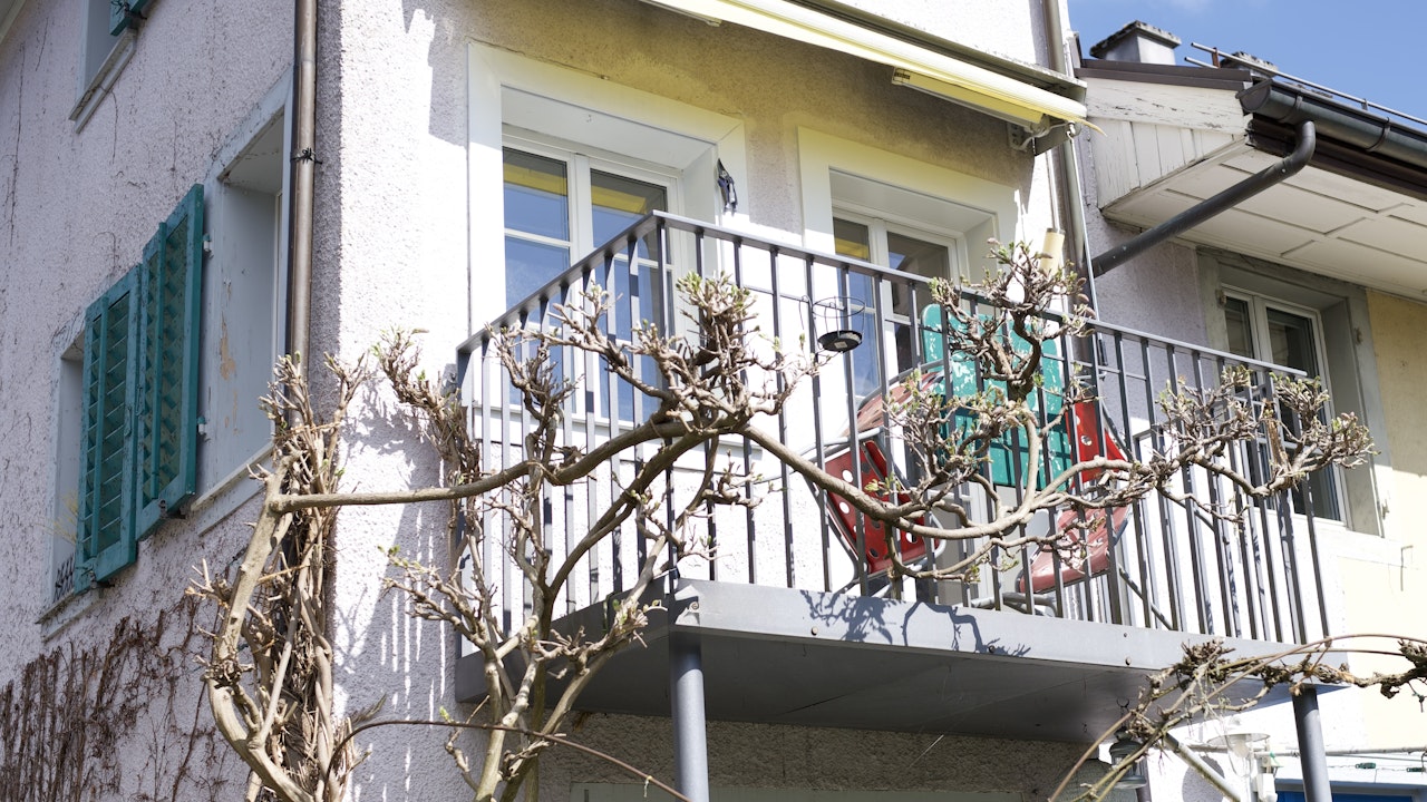 Auch dein Balkon kann erblühen – mit Kletterpflanzen wird er zum grünen Rückzugsort für dich und wertvoller Lebensraum für Tiere.