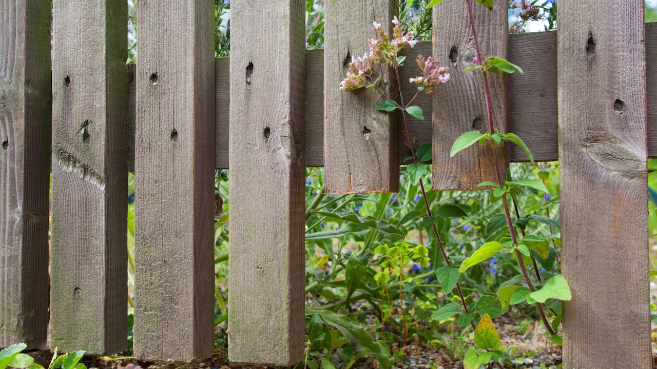 Bei einem Holzzaun säge ein Loch raus, damit Wildtiere von einem Lebensraum zum anderen wandern können.