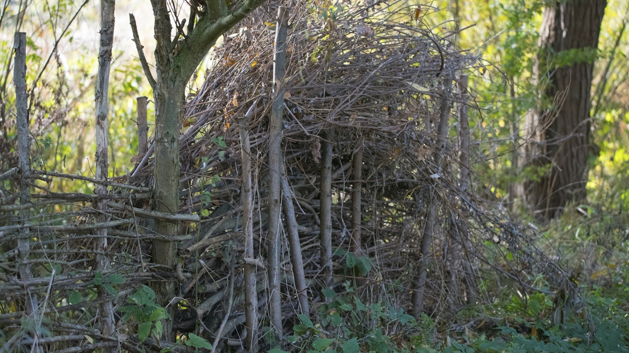 Totholzhecken bieten Schutz aber auch die Möglichkeit, dass Tiere bei der Suche nach Nahrung keine geschlossenen Barrieren vorfinden.