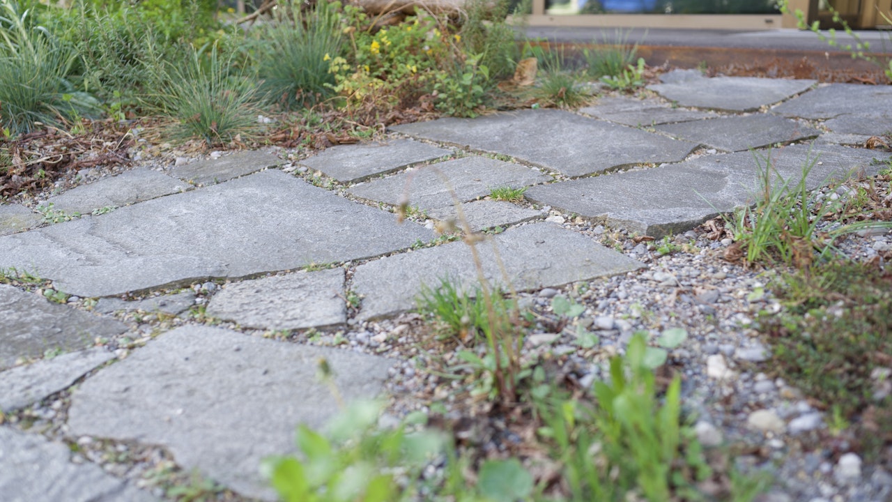 Versiegelte Flächen lassen sich gut zurückbauen und wiederbeleben.