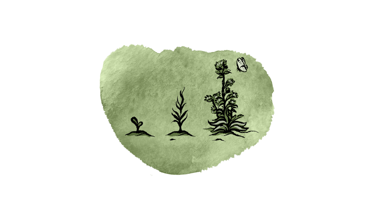 Offres adaptées Toutes les offres