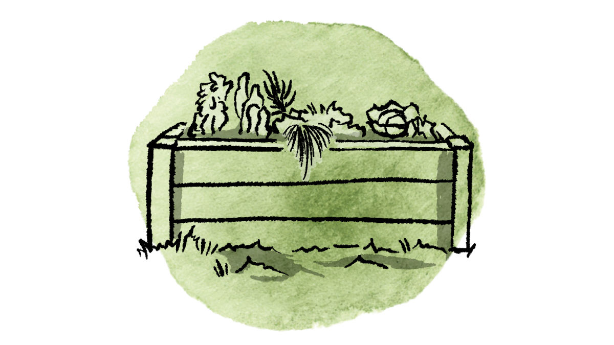 Hochbeet-Vielfalt: Natur fördern, Gemüse ernten