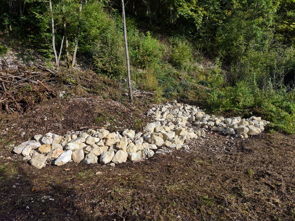Die sorgfältig angelegten Steinstrukturen am Waldrand fördern die stark bedrohte Reptilienfauna.
