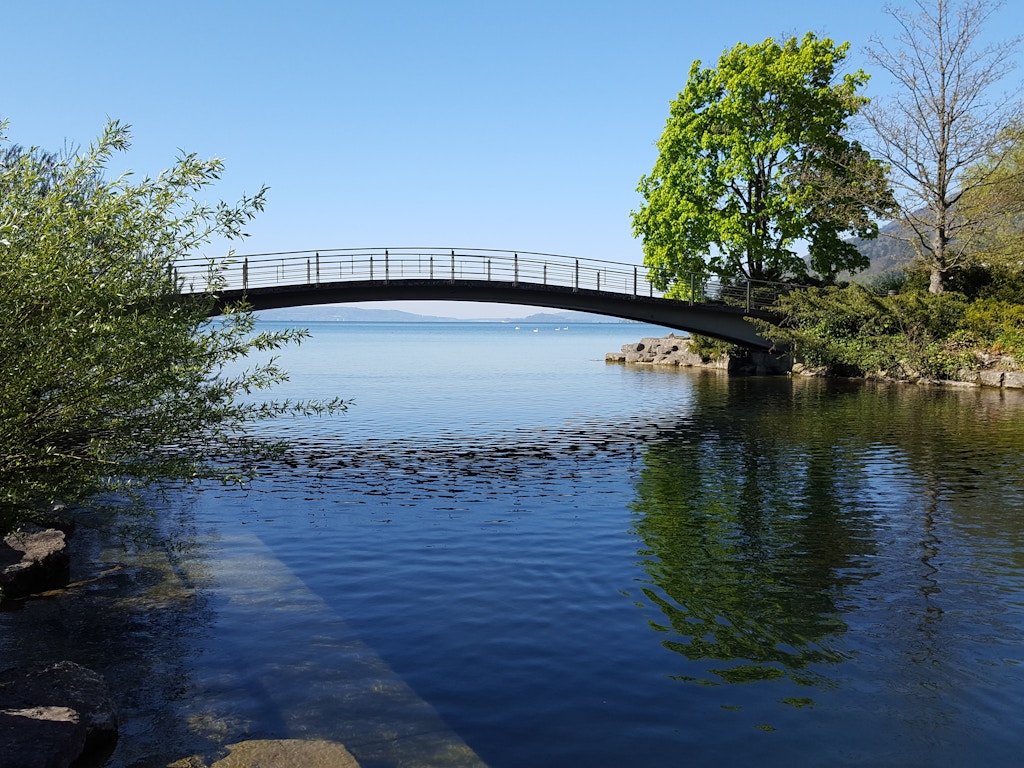 Die Nähe zum See und mehreren Fliessgewässern bietet grosses Potential für verschiedene Tier- und Pflanzenarten.