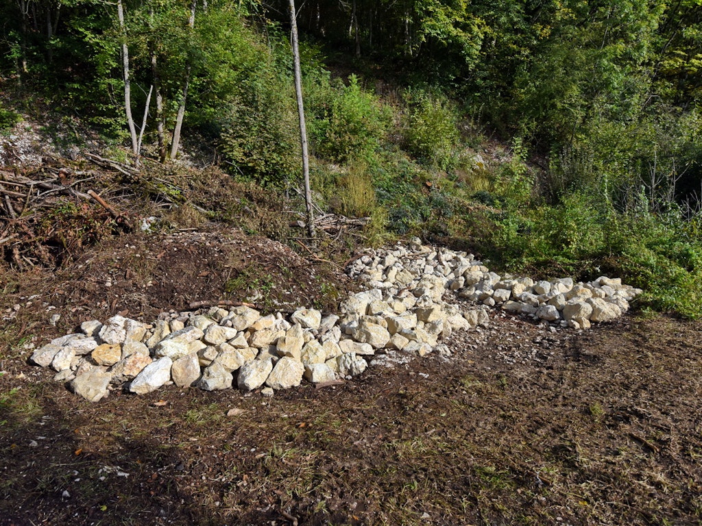 Les structures de pierres soigneusement disposées aux lisières des forêts favorisent la faune reptilienne fortement menacée.