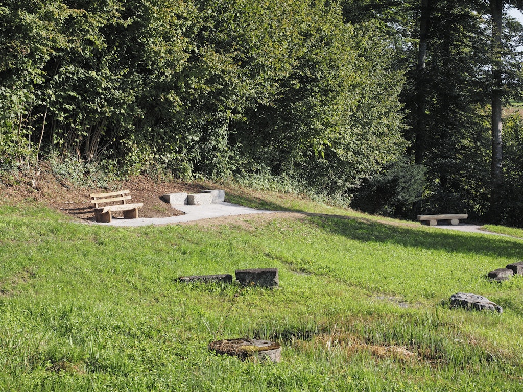 Ökologische Aufwertung Biotop Schönenberg (2023)