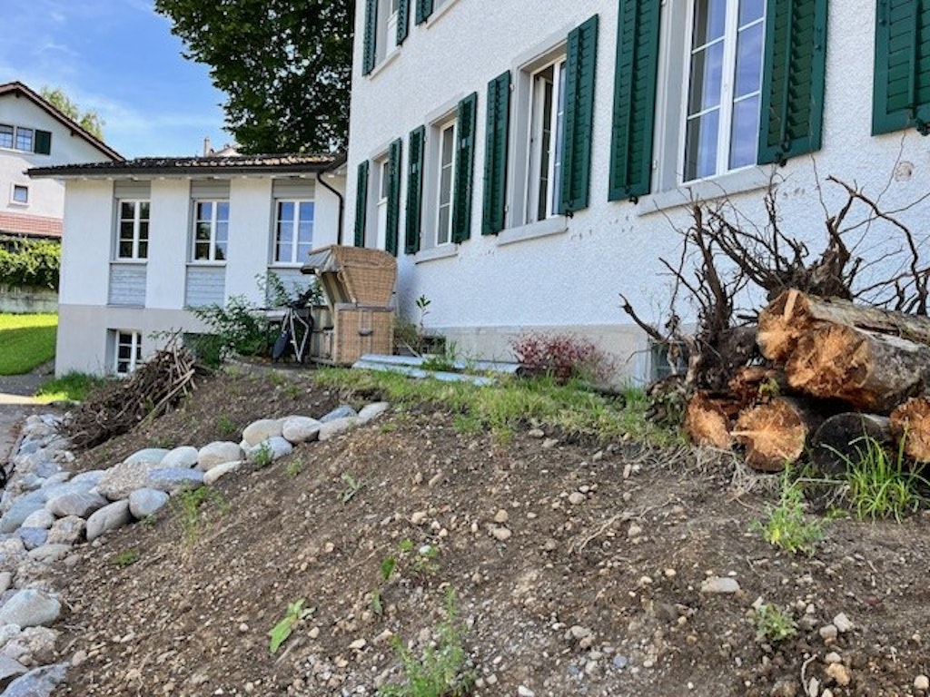 Ökologische Aufwertung Schulhaus Girenbad (2024)