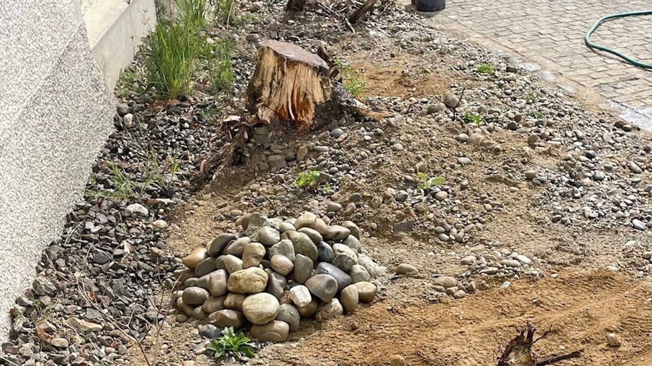 Unterschiedliche Kleinstrukturen verwandeln scheinbar unauffällige Flächen in wertvolle Lebensräume und steigern so die Biodiversität im Siedlungsraum.