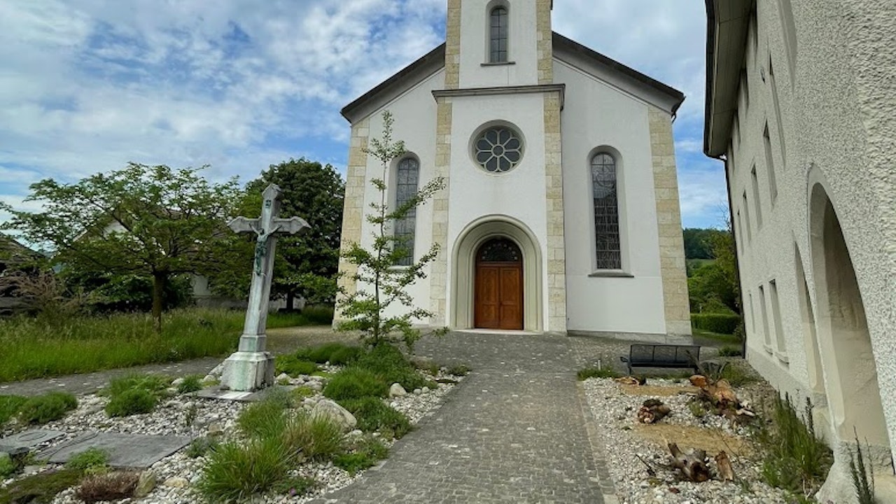 Ruderalflächen rund um Gebäude sind wertvolle Lebensräume für Pflanzen und Tiere.
