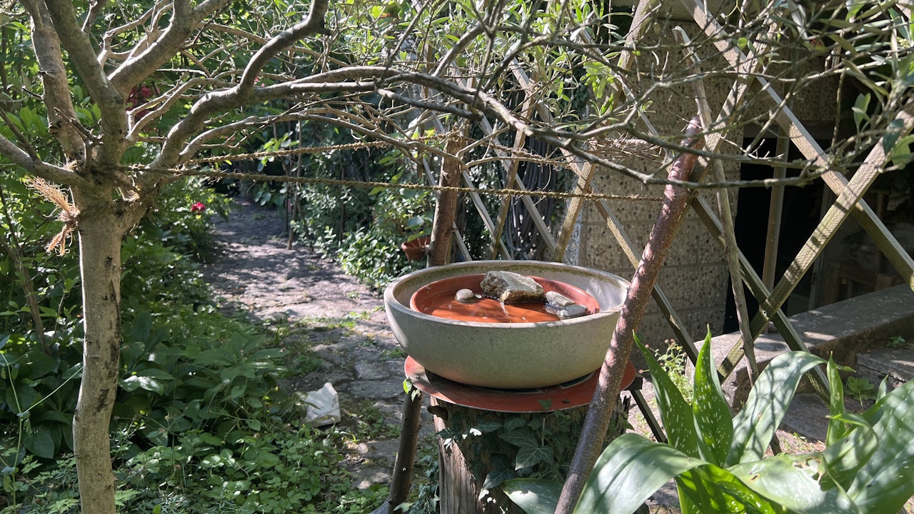 Steine im Wasserbecken bieten Insekten eine gute Landebahn um Wasser zu trinken ohne zu ertrinken.