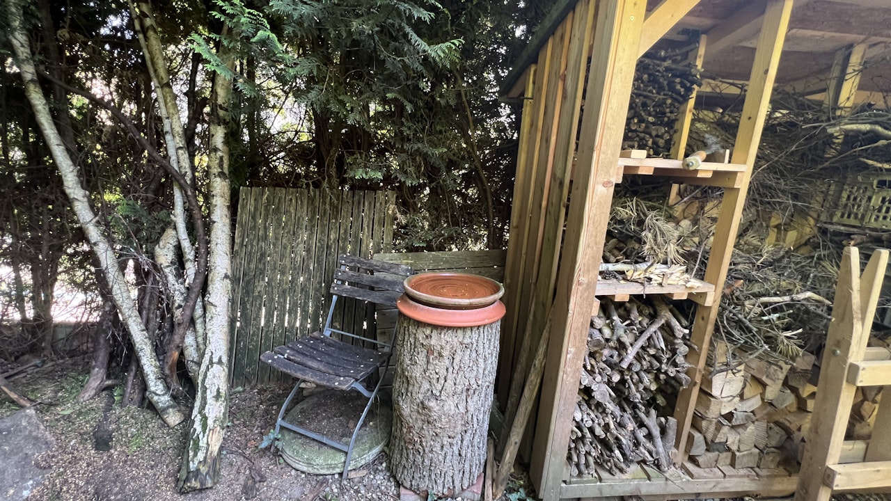 Erhöhte Wasserstellen bieten Vögeln Schutz vor Fressfeinden.