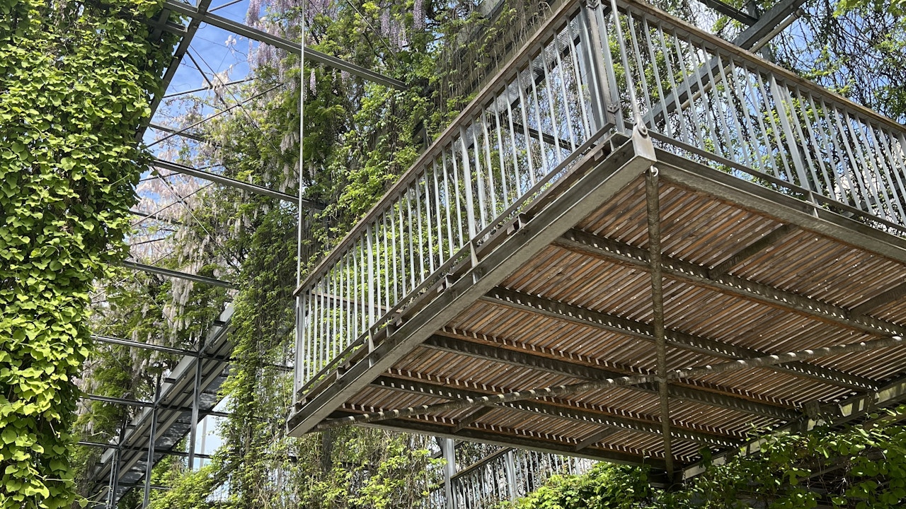 Der MFO Park in Zürich Altstetten zeigt schön, wie vielseitig Kletterpflanzen sein können.