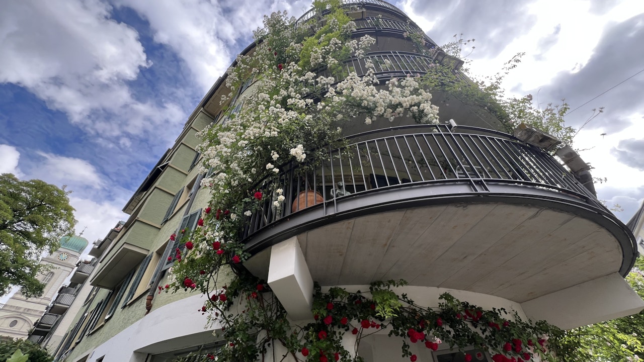 Rankende Rosen eignen sich hervorragend für Fassaden mit Balkonen, wo sie sich festhalten können.