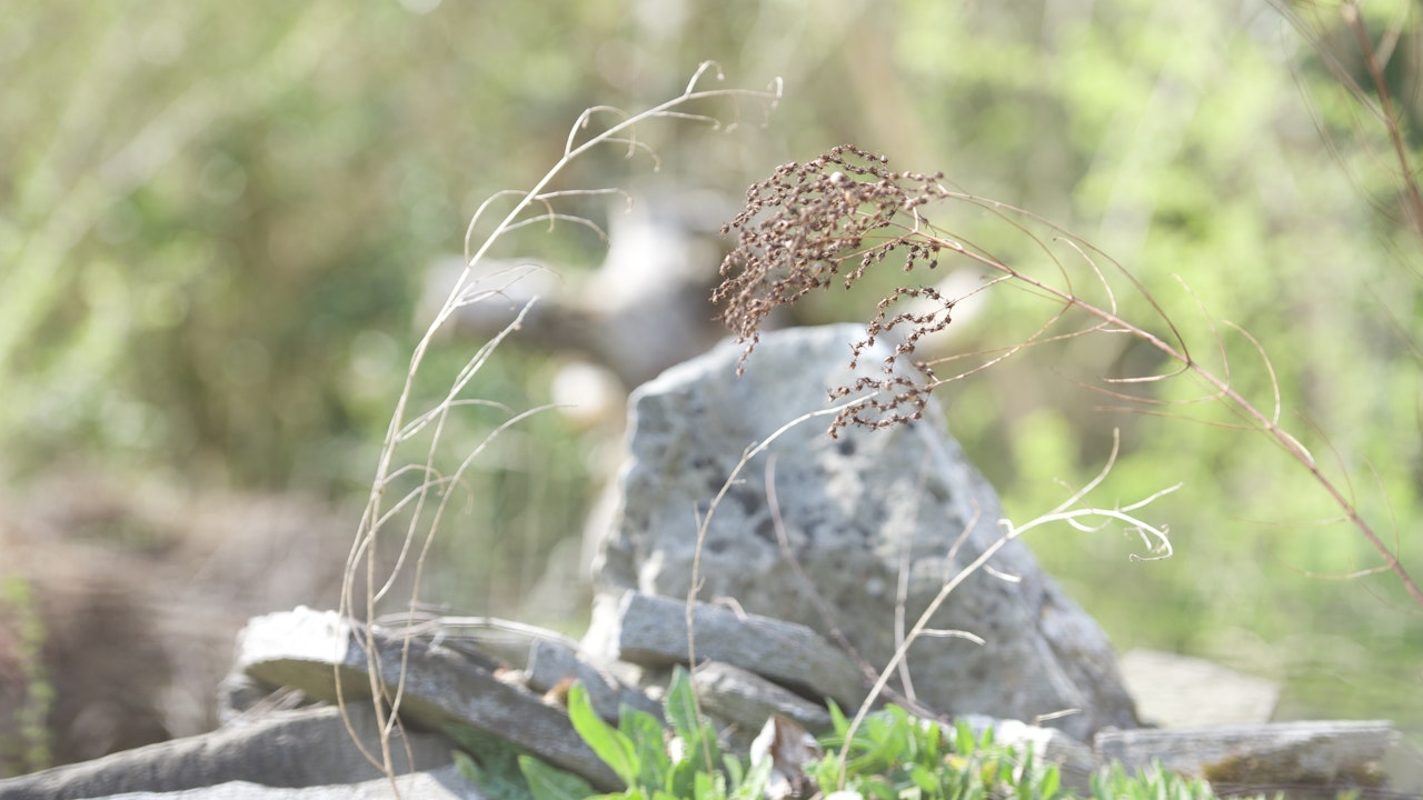 Schon kleine Steinhaufen verwandeln Veloständer & Co. in wertvolle Lebensräume für Insekten und Kleintiere.