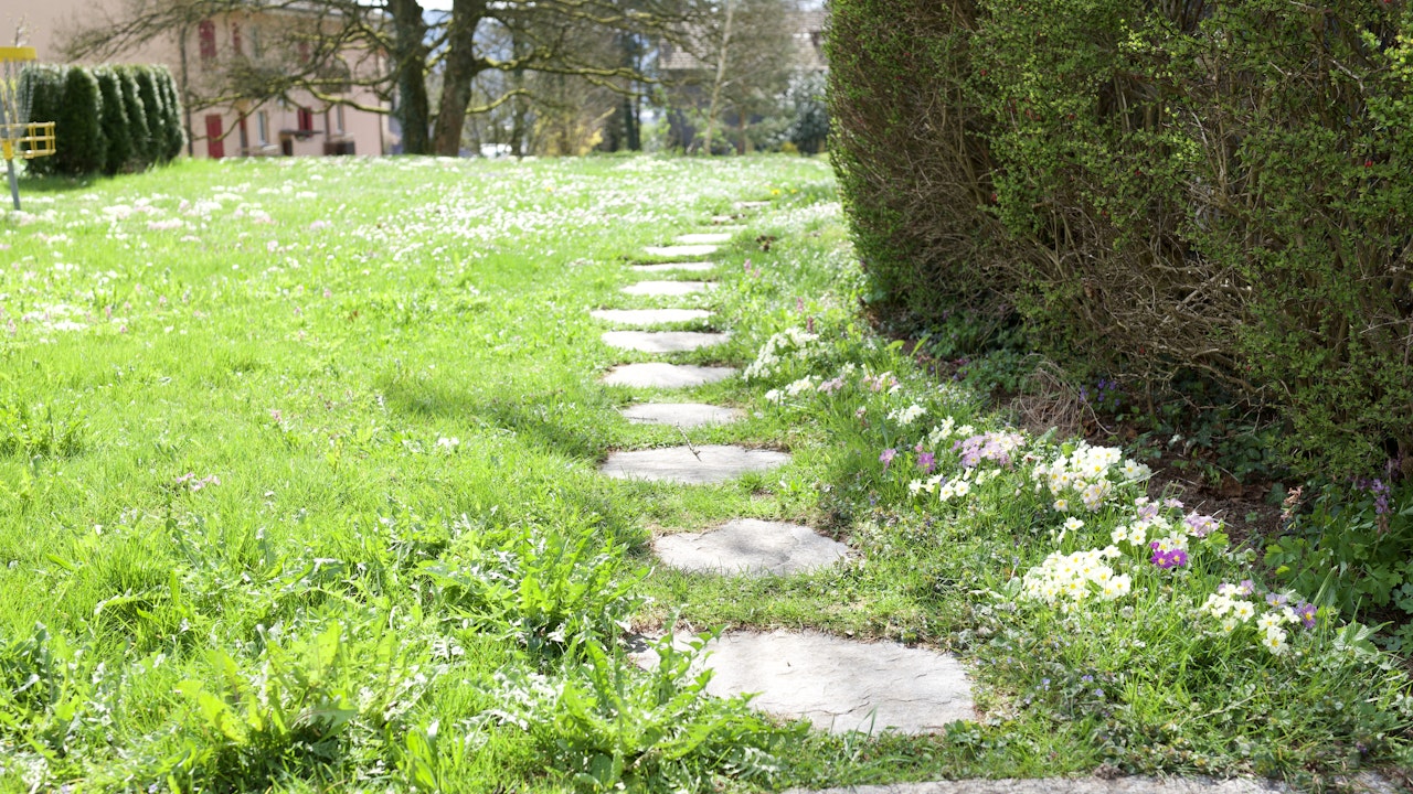 Offener Boden zwischen den Platten fördert die Versickerung und das Bodenleben.