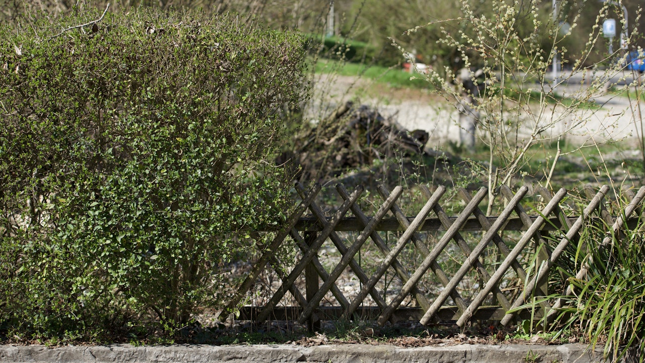 Zaun und Hecke ergänzen sich als funktionale und gestalterische Elemente im Garten.
