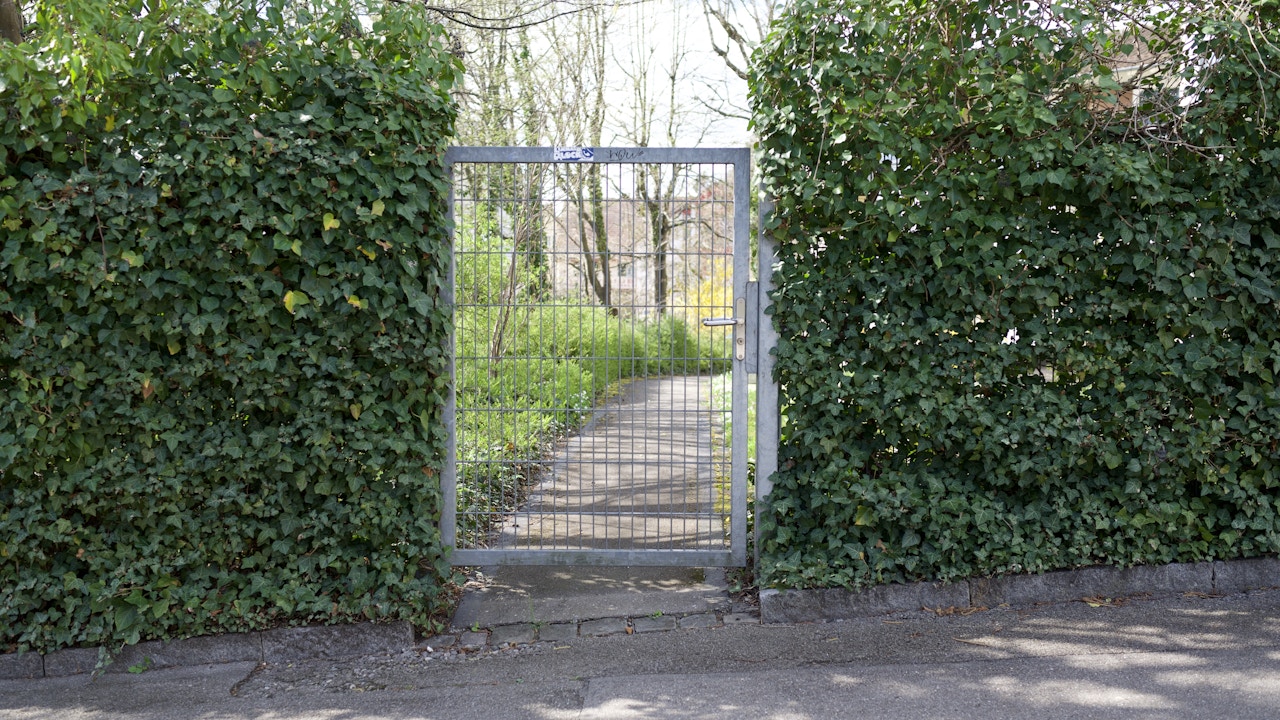 Des ouvertures dans le portail de la clôture permettent aux hérissons de passer, tandis que le lierre leur offre une protection et un habitat.